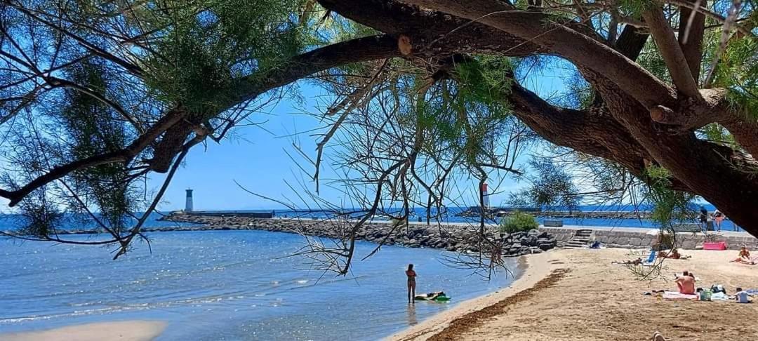 Apartament Le Coeur Des Sables Le Grau-dʼAgde Zewnętrze zdjęcie
